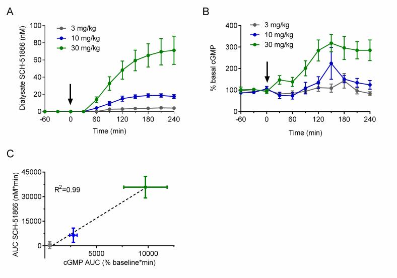 Pharmacodynamic (cGMP) analysis after acute administration of SCH-51866 in male R6/2 mice.