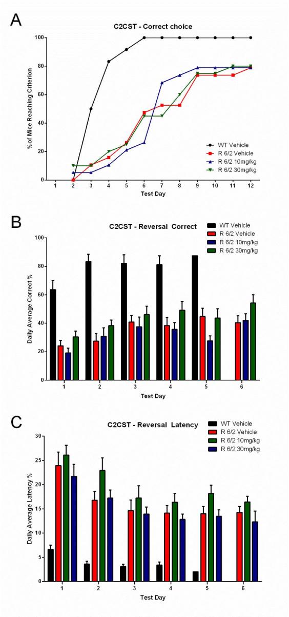 Lack of effect of SCH-51866 in a cognitive task (Cued Two-Choice Swim Test; C2CST) in R6/2 mice.