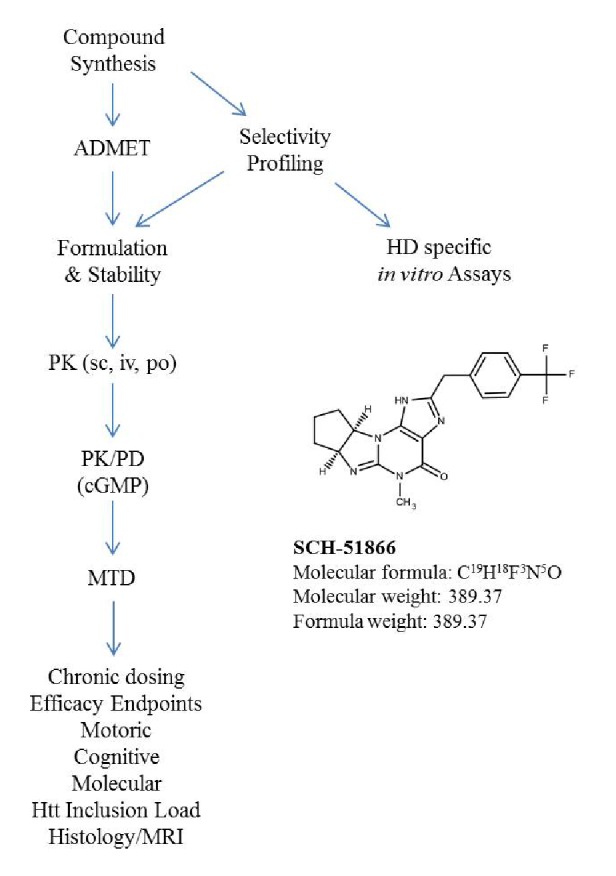 Flow scheme of candidate proof-of-concept molecule evaluation as a potential therapeutic for HD in rodents.