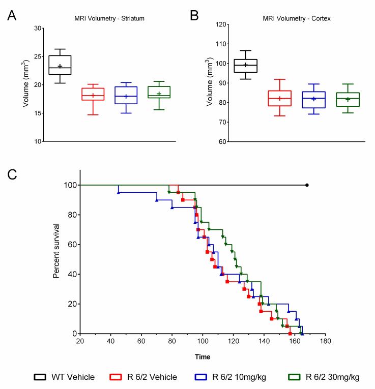 MRI evaluation of regional brain volume loss and survival after chronic administration of SCH-51866 in R6/2 mice.