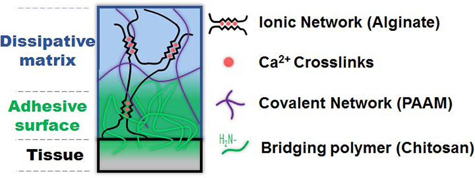 Figure 1: