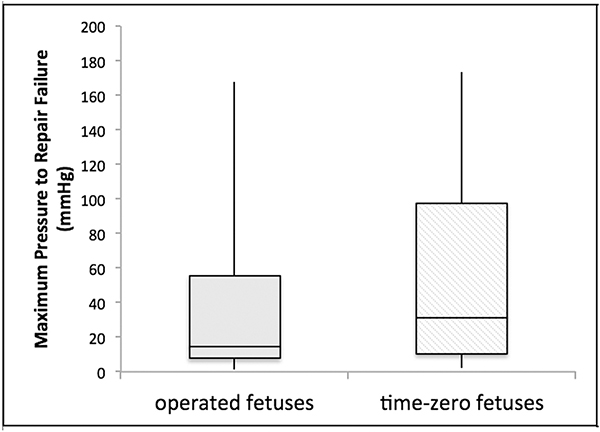 Figure 5: