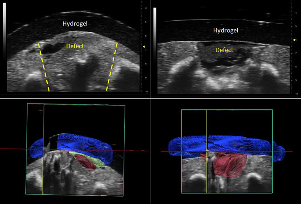 Figure 3: