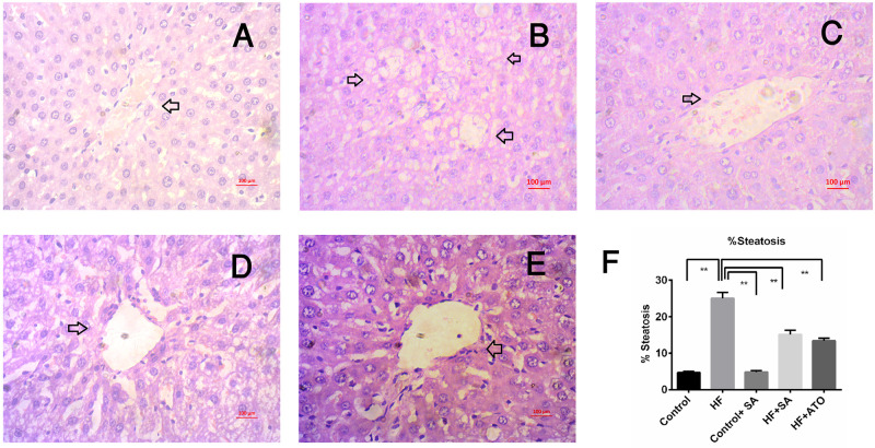 Fig 10