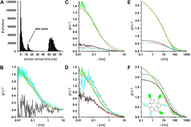 FIGURE 3