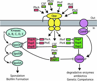 FIG. 6.