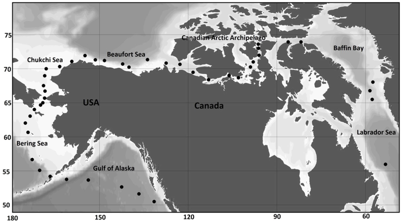 Figure 1B.