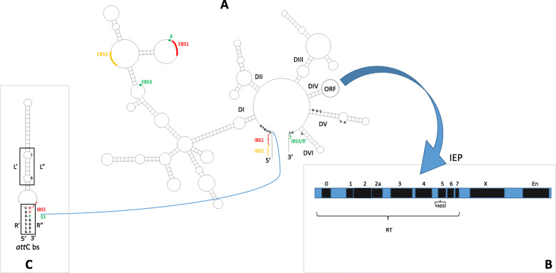 Fig. 1