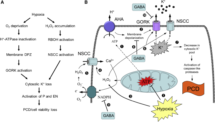 Figure 7