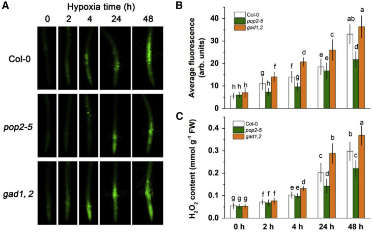 Figure 3