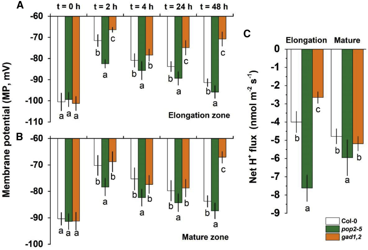 Figure 6