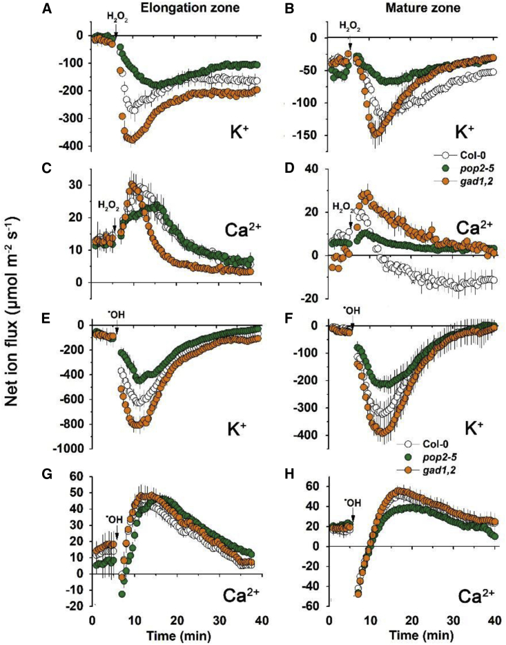 Figure 5