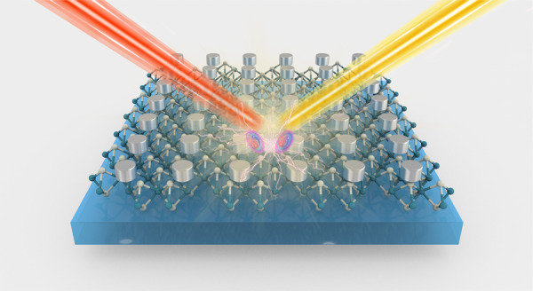 graphic file with name 41377_2022_754_Figa_HTML.jpg