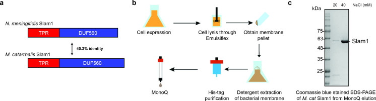 Figure 1—figure supplement 1.