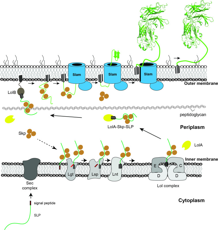 Figure 6.