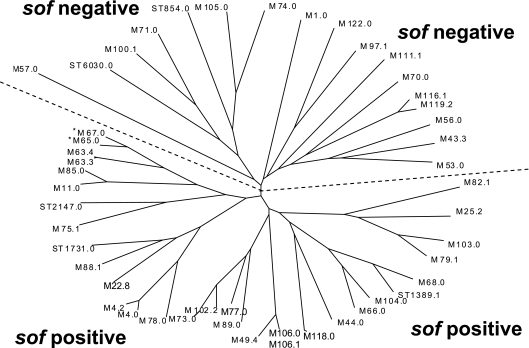 FIG. 1.