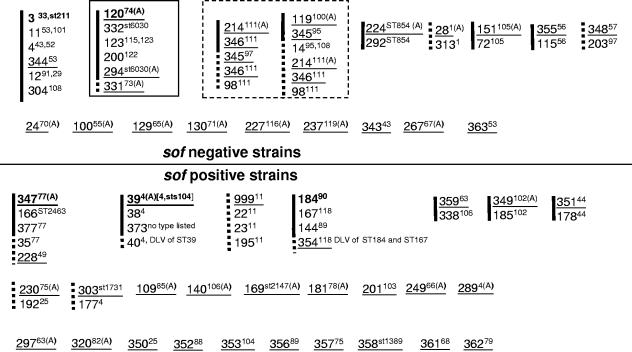 FIG. 2.