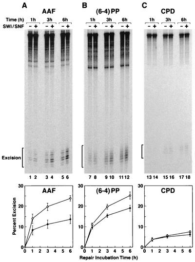 FIG. 5.