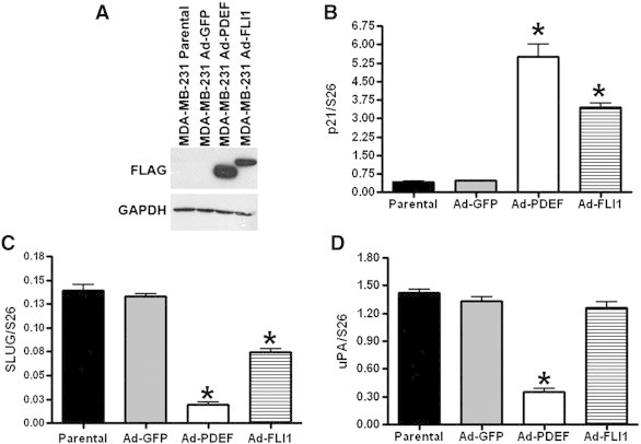 Figure 6