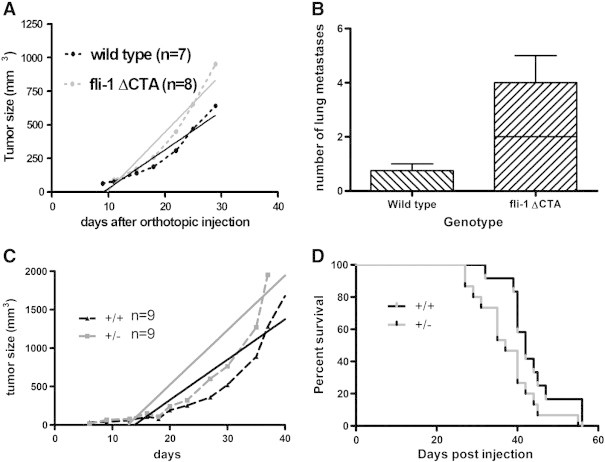 Figure 5