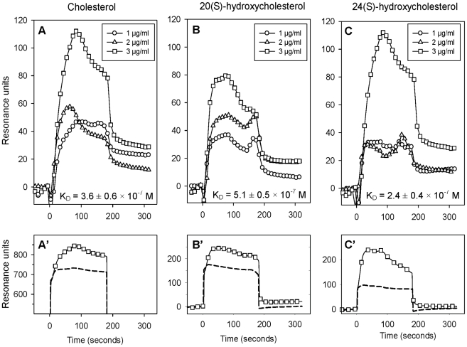 Figure 4