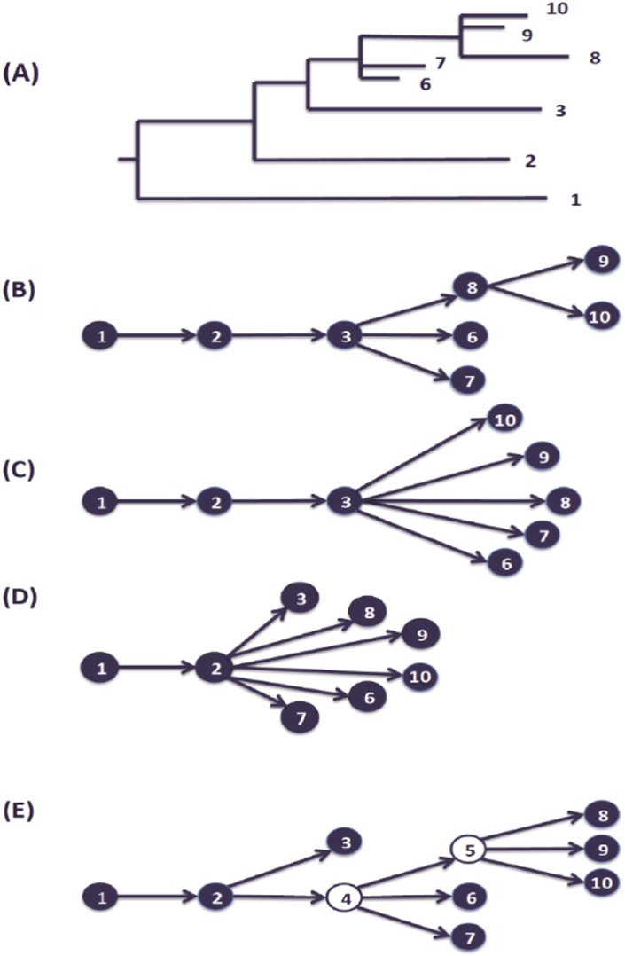 Fig. 3