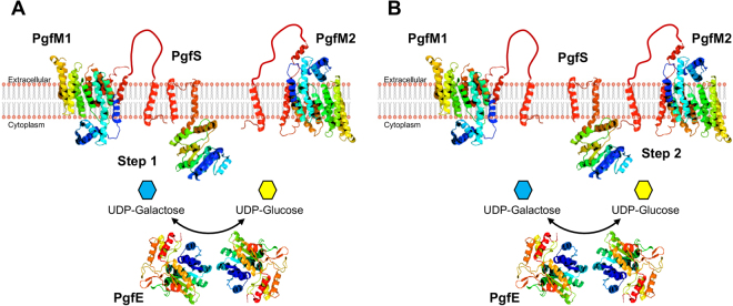 Figure 6