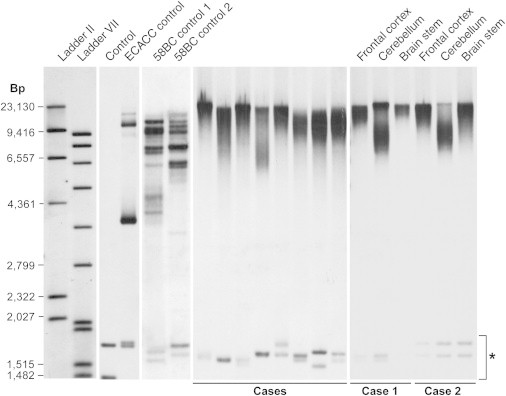 Figure 3