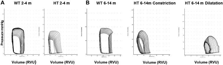 Fig. 5.