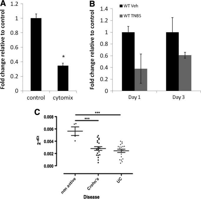 FIGURE 5: