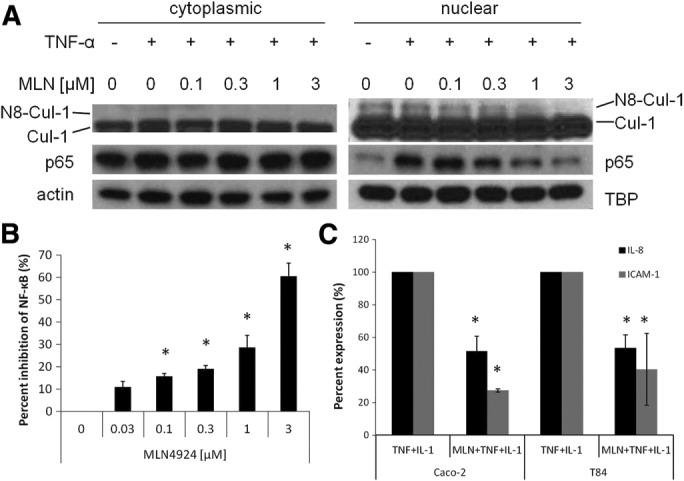 FIGURE 1: