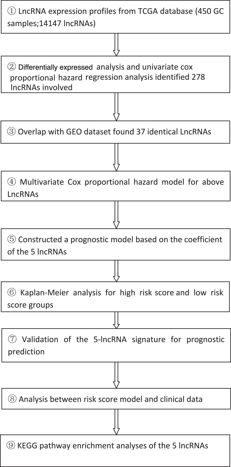 graphic file with name peerj-09-10556-i001.jpg