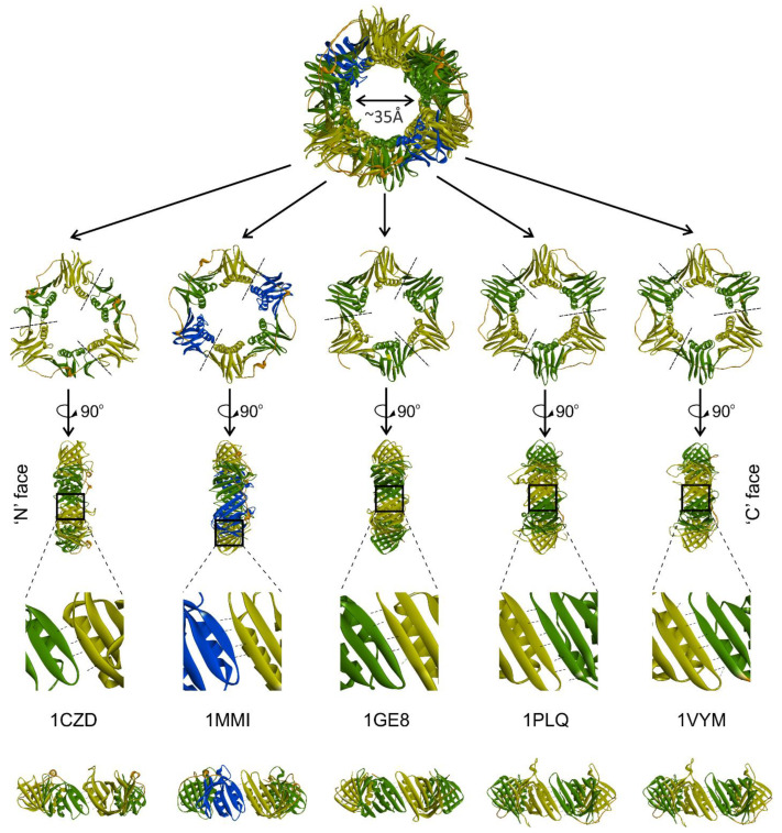 Figure 2