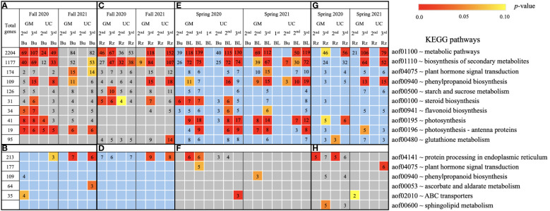 Figure 6