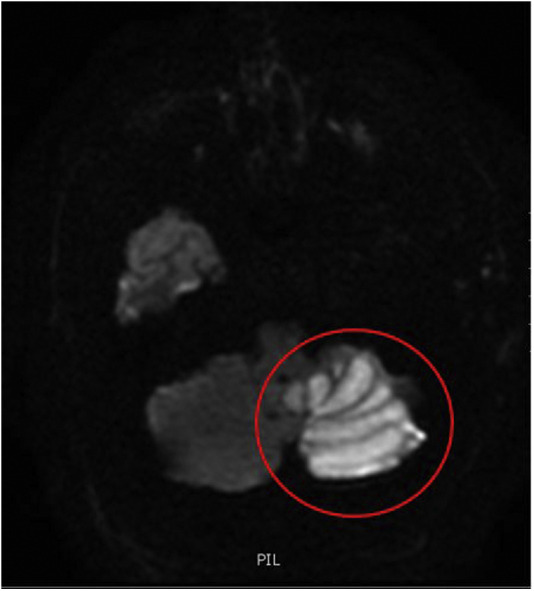 Figure 3