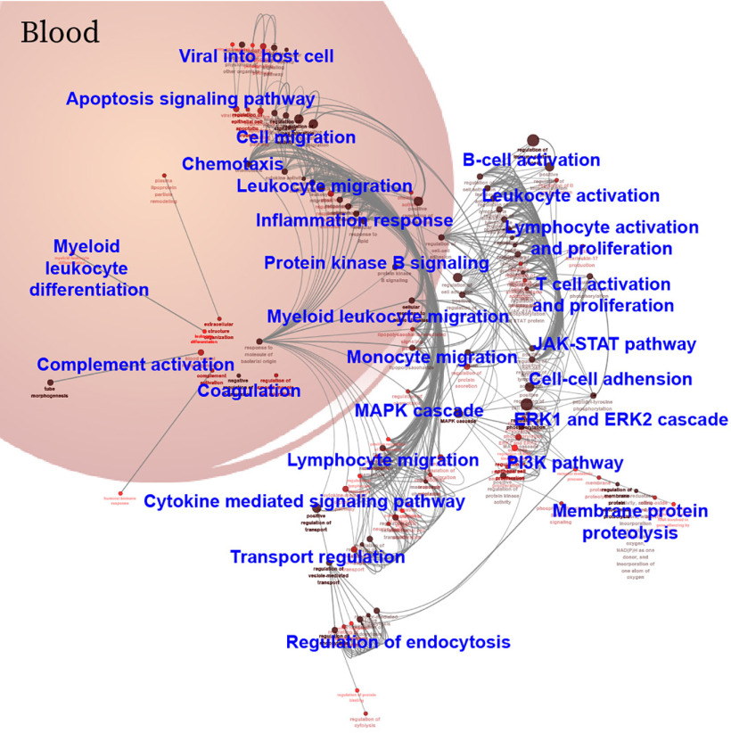 graphic file with name SB-MCPJ200032F007.jpg