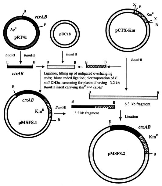 FIG. 1