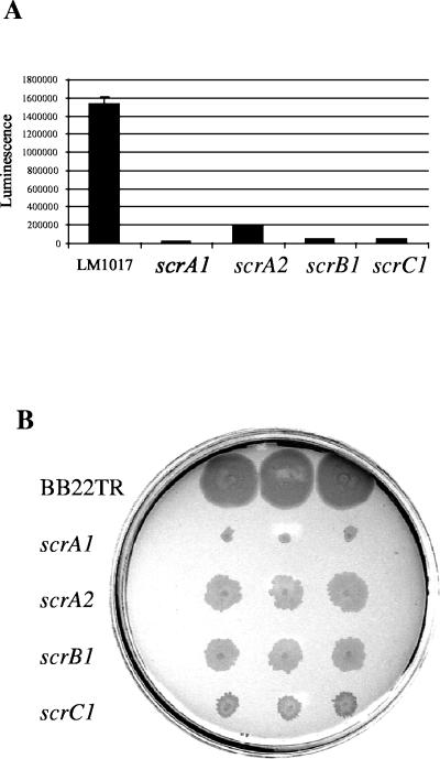 FIG. 4.