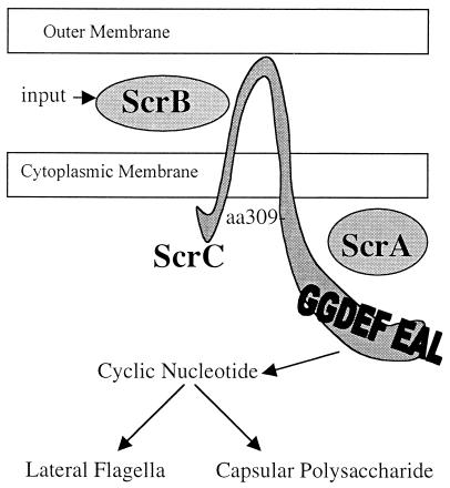 FIG. 8.