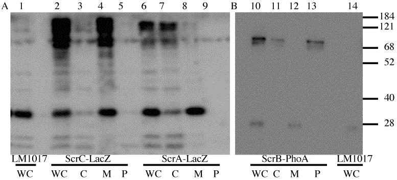 FIG. 3.