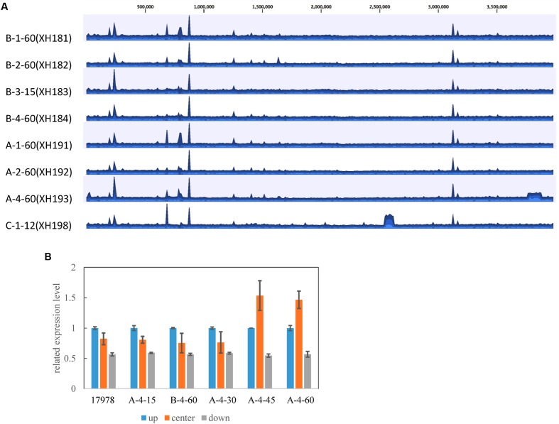 FIGURE 3