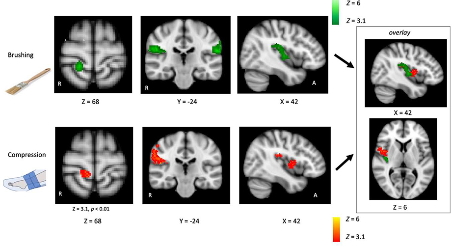 Figure 6.