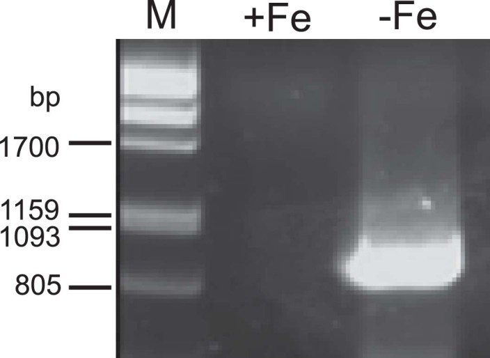 Extended Data Fig. 2