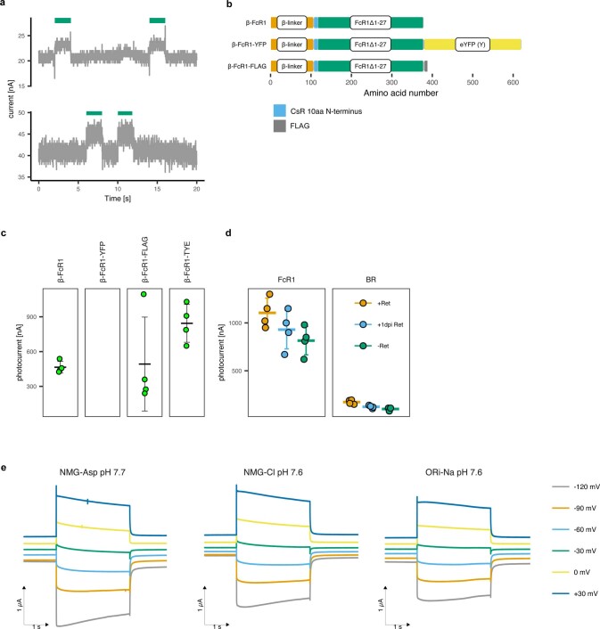 Extended Data Fig. 3