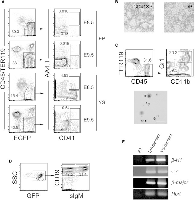 Figure 5