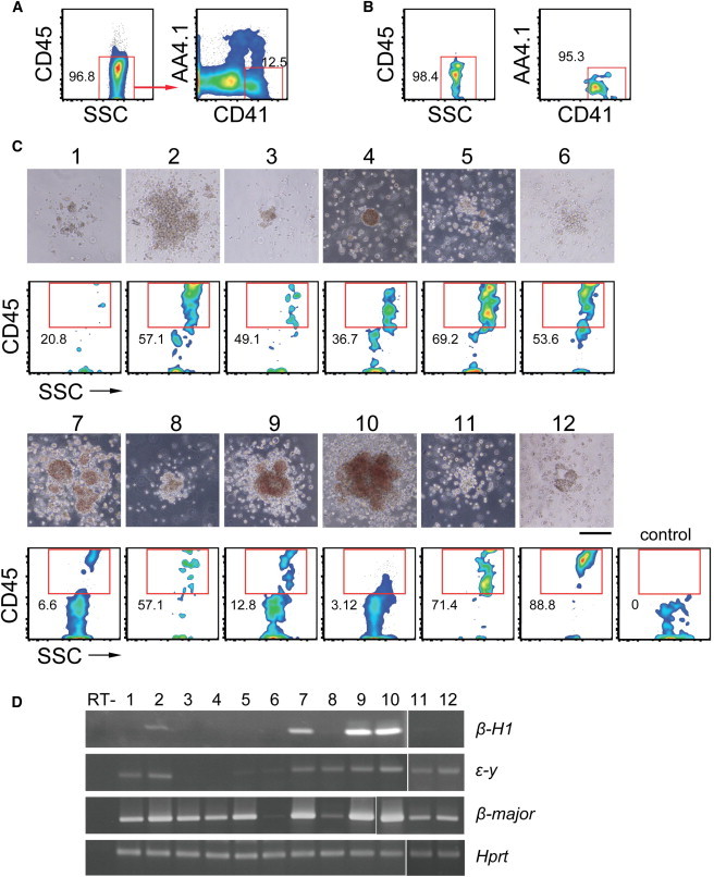 Figure 6