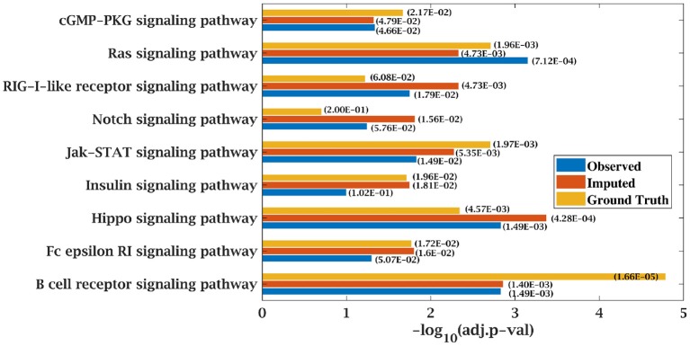 Figure 7