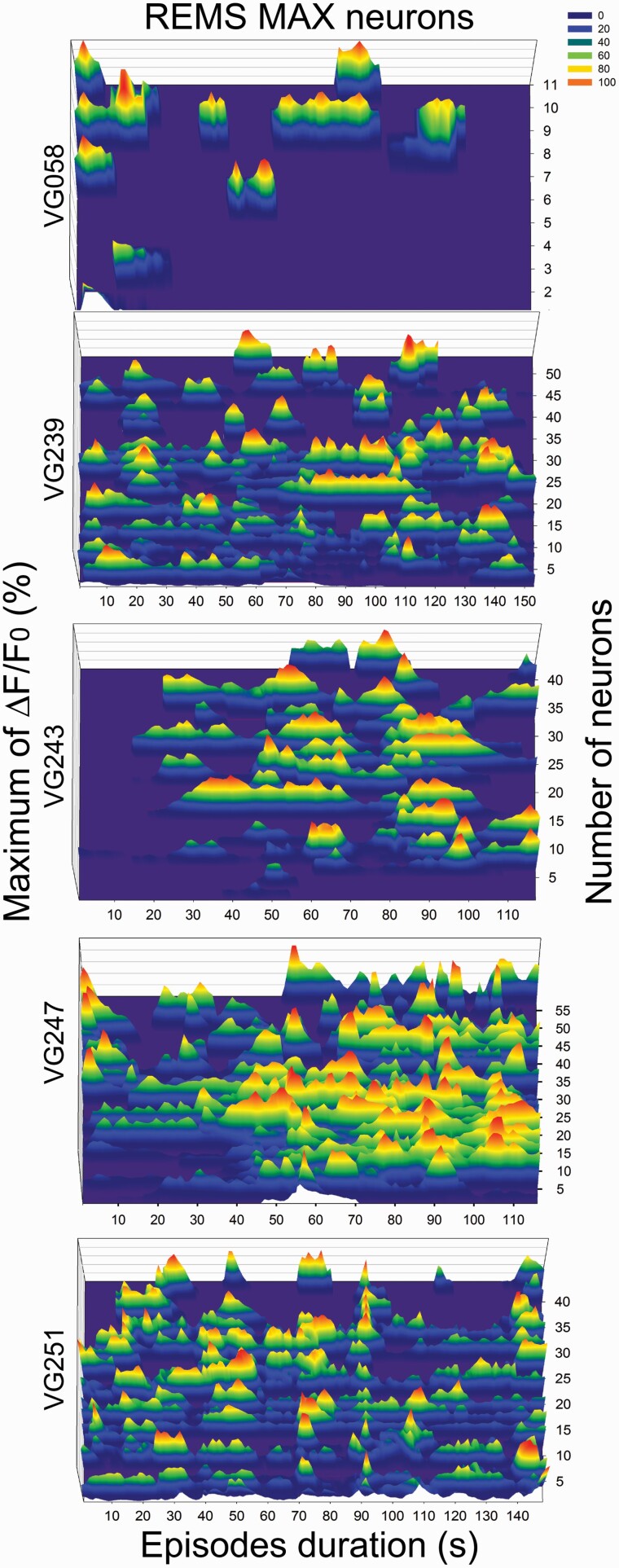 Figure 3.