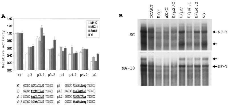 FIG. 6