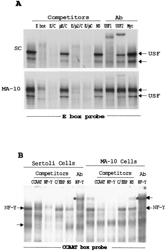 FIG. 3